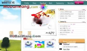 娱乐吃瓜模板下载百度云,吃瓜群众眼中的明星幕后故事